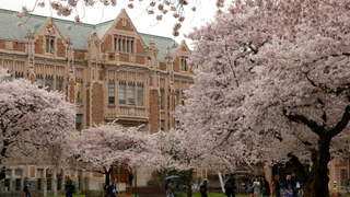 UW Found A Volleyball Star's Sexual Assault Allegation "Extremely Credible" But Let The Accused Official Leave Without Consequence
